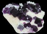 Dark Purple Cubic Fluorite on Quartz - Exceptional! #39004-4
